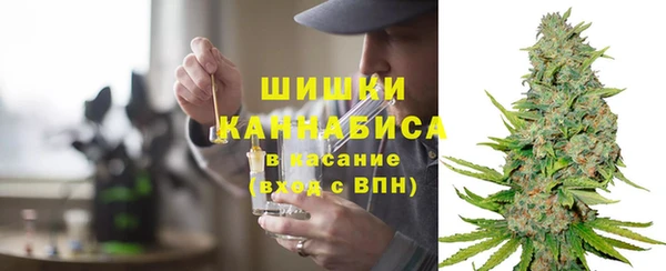 PSILOCYBIN Верхний Тагил